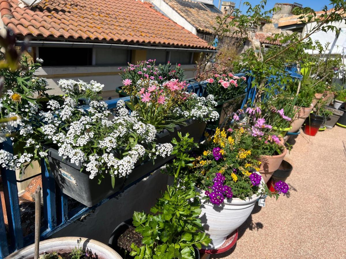 Loft Apartment , La Terrasse Centre Ville D'Arles, Exterior photo