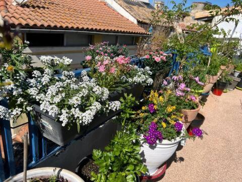Loft Apartment , La Terrasse Centre Ville D'Arles, Exterior photo